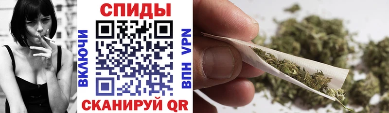 Бутират буратино  Сасово 