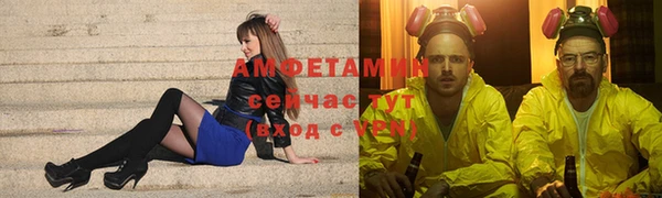 шишки Заволжье