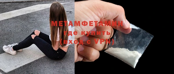 шишки Заволжье