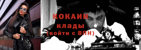 шишки Заволжье