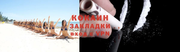 шишки Заволжье