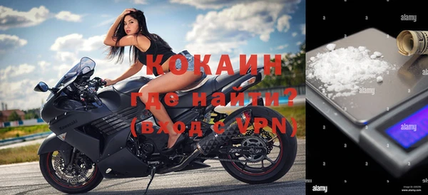 шишки Заволжье