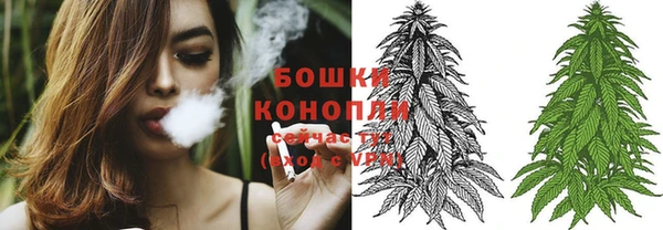 метадон Заводоуковск