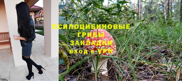шишки Заволжье