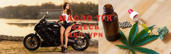 шишки Заволжье
