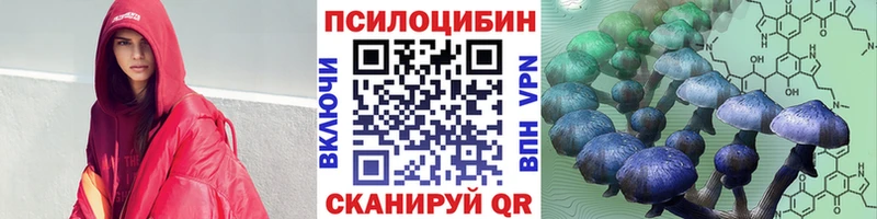Псилоцибиновые грибы Psilocybe  Сасово 